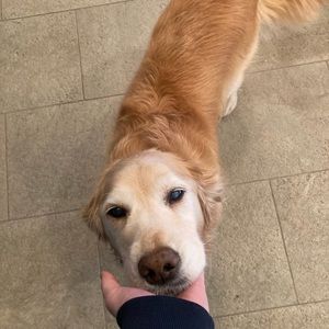 Meet your Posher, Patrick